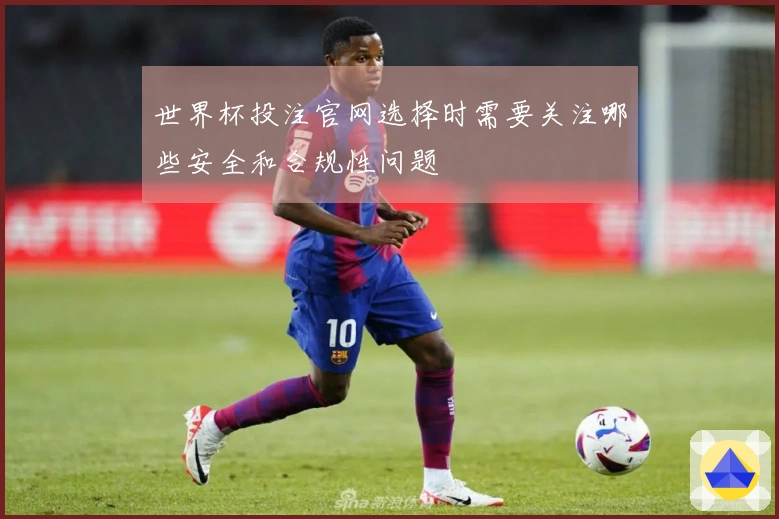 开云体育资讯图片